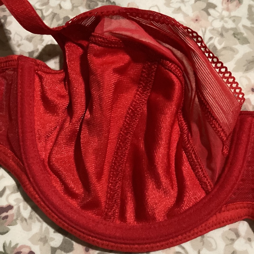 Conturelle Red Bra - Picture 6 of 9